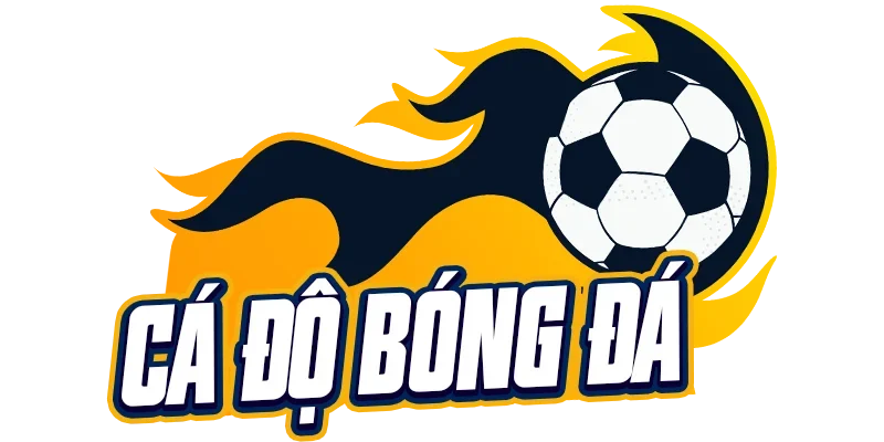 Top 10 Trang Cá Độ Bóng Đá Uy Tín Đa Dạng Kèo Cược 2026