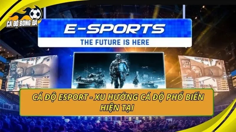 Cá độ Esport - Xu hướng cá độ phổ biến hiện tại 
