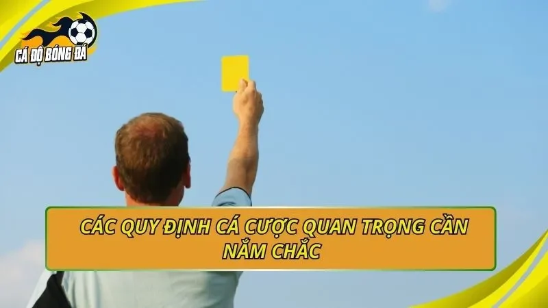 Các quy định cá cược quan trọng cần nắm chắc