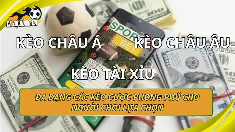 Đa dạng các kèo cược phong phú cho người chơi lựa chọn