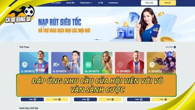 Đáp ứng nhu cầu của hội viên với vô vàn sảnh cược