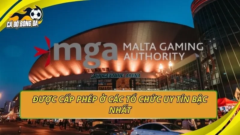 Được cấp phép ở các tổ chức uy tín bậc nhất