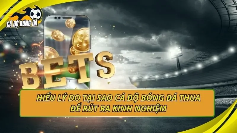 Hiểu lý do tại sao cá độ bóng đá thua để rút ra kinh nghiệm