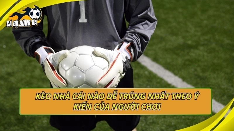 Kèo nhà cái nào dễ trúng nhất theo ý kiến của người chơi