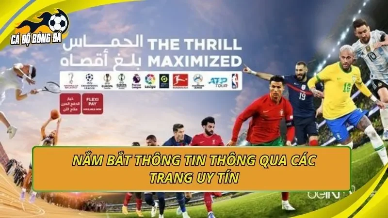 Nắm bắt thông tin thông qua các trang uy tín